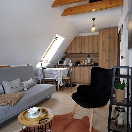 Apartament Ryllowka Z Widokiem Na Gory Ζακοπάνε Εξωτερικό φωτογραφία