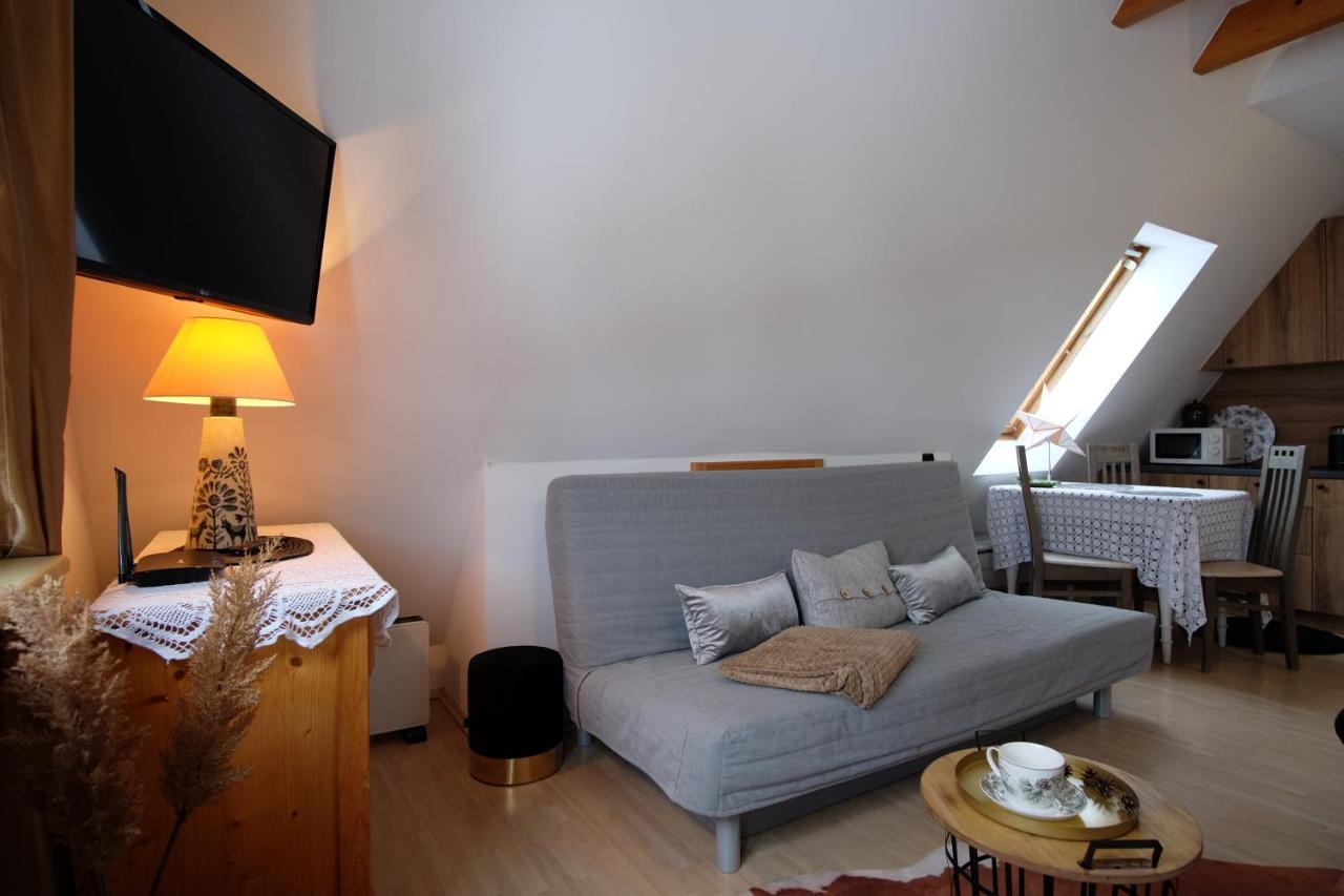 Apartament Ryllowka Z Widokiem Na Gory Ζακοπάνε Εξωτερικό φωτογραφία
