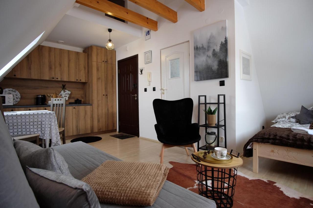 Apartament Ryllowka Z Widokiem Na Gory Ζακοπάνε Εξωτερικό φωτογραφία