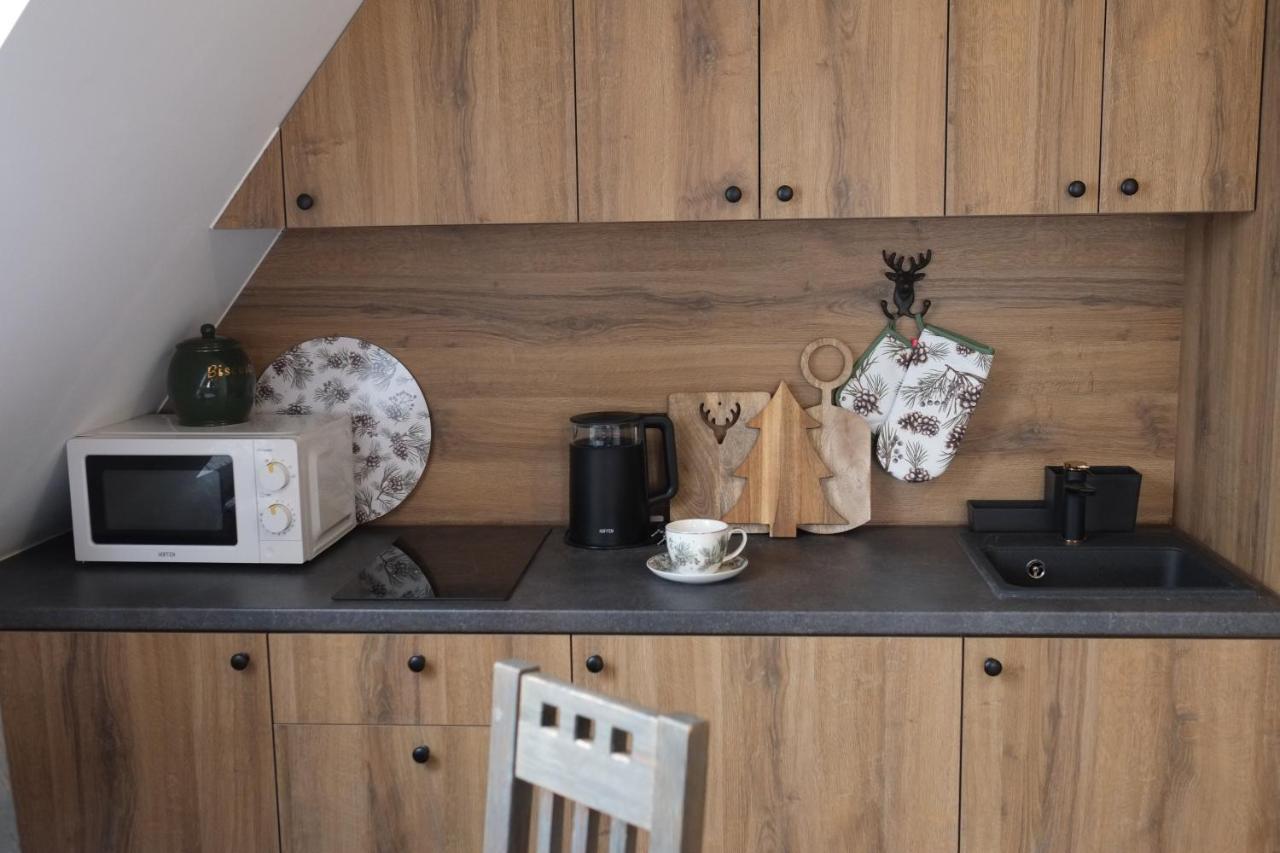 Apartament Ryllowka Z Widokiem Na Gory Ζακοπάνε Εξωτερικό φωτογραφία